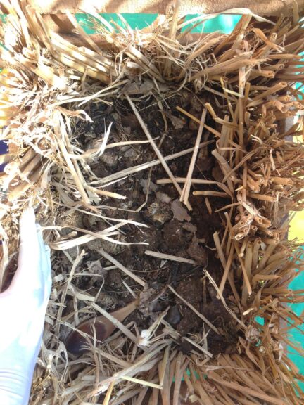 oikos Turns Water Pollutants into Compost