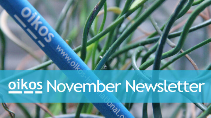 Newsletter: November 2020